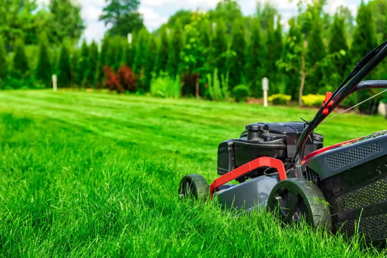 Lawn mower halfway through cutting lawn in the backyard of a home