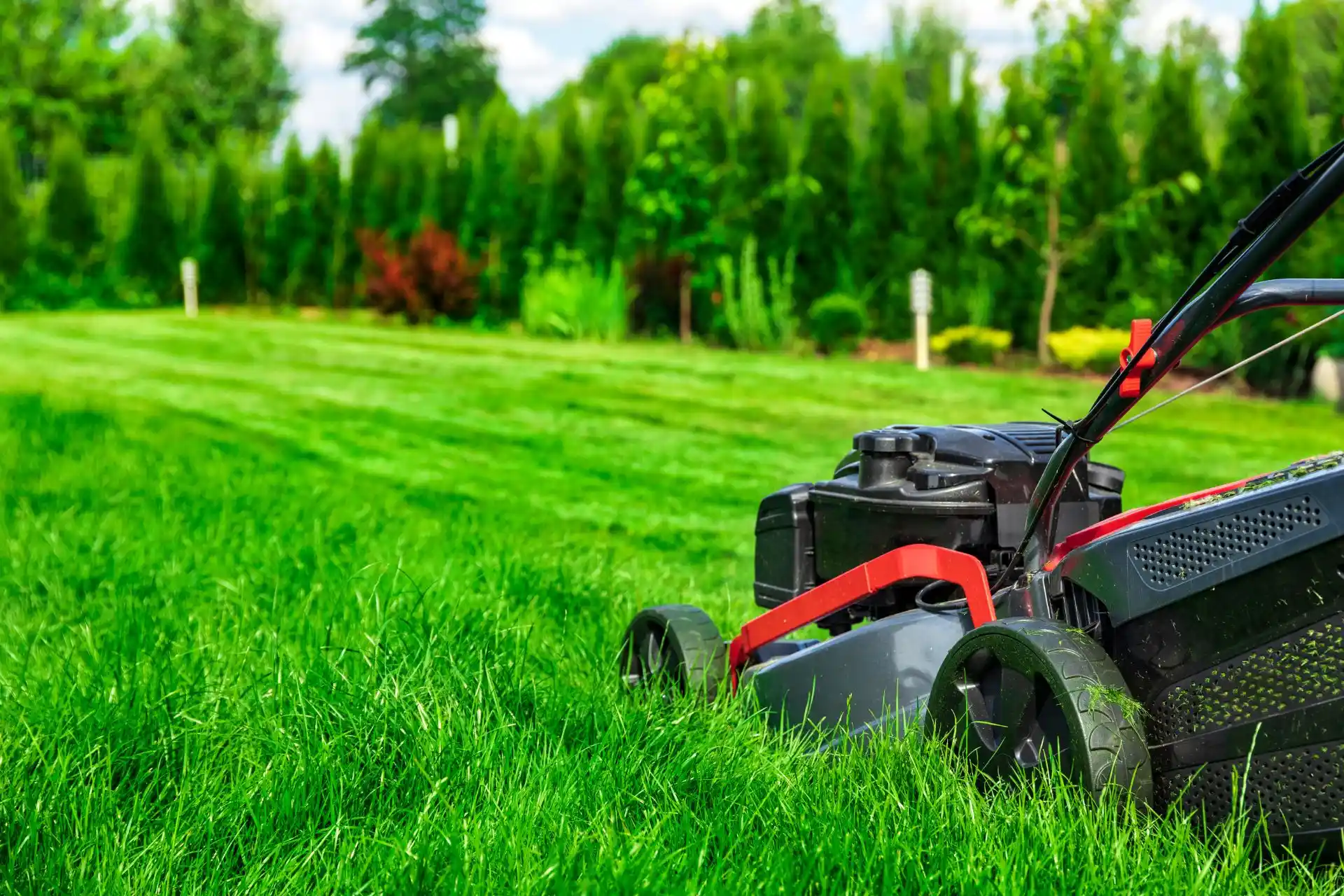 Lawn mower halfway through cutting lawn in the backyard of a home