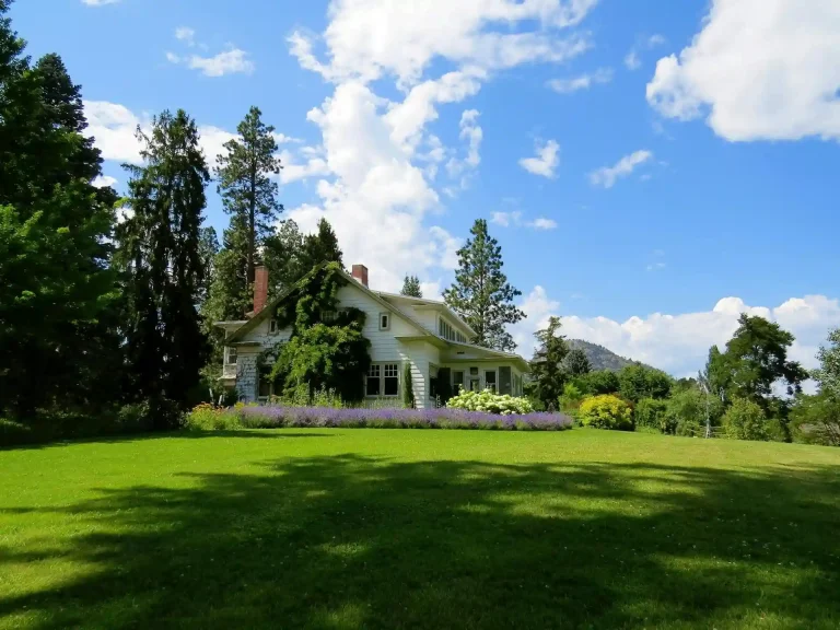 Freshly cut large lawn with a white house, big trees, and blue sky