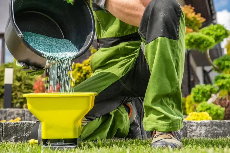 person wearing green pouring lawn fertilizer pellets from a bucket into a hand-powderd pellet spreader