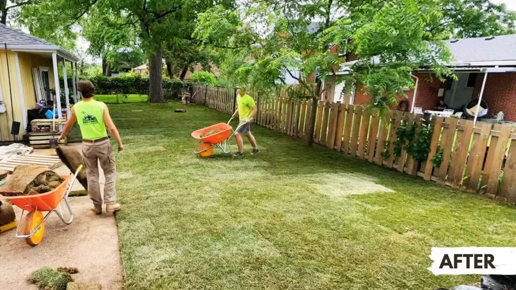 After-picture of a resodding job in the backyard of a Mississauga home with the student crew hauling sod in wheelbarrows