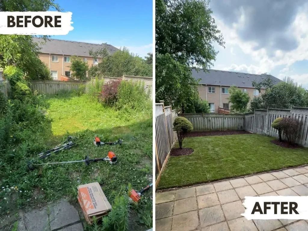 Before and after lawn replacement transformation in the backyard of a townhome in mississauga