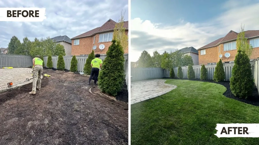 Side-by-side before and after of a sod installation job performed by student crew wearing company shirts